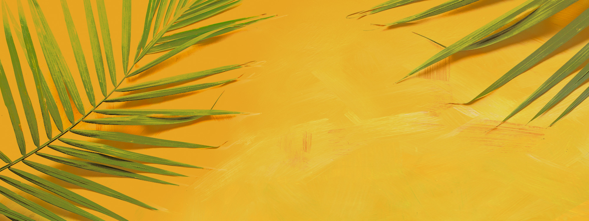 Palm Sunday Service 29th March 2026 11am*'Hosanna!'*SERVICES